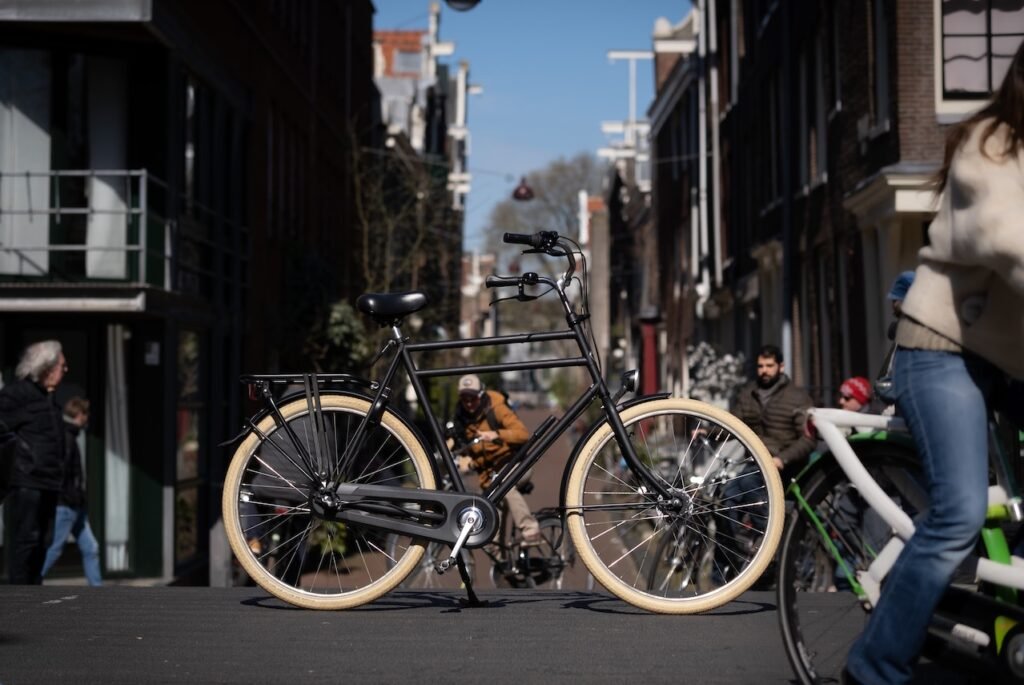 City Bike Grande > 185cm